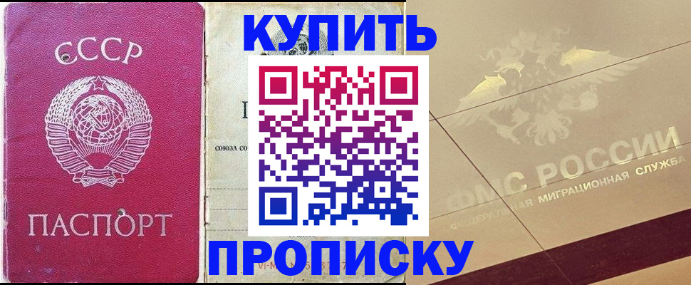 прописка для школы в Щиграх